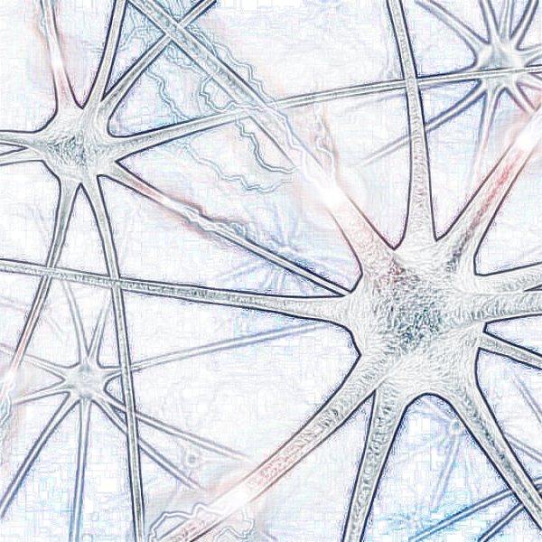 neuron